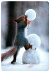 Squirrel in snow with snowman