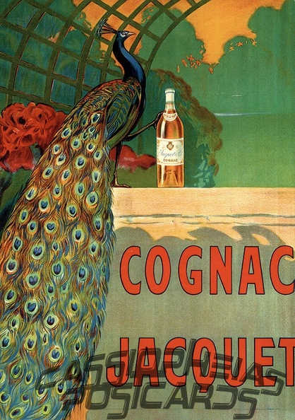 Cognac Jacquet