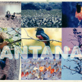 14 Pantanal Conservation Area