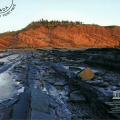 15 Joggins Fossil Cliffs