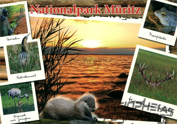 Müritz National Park
