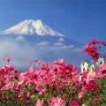 17 Fujisan, sacred place and source of artistic inspiration