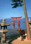 08 Itsukushima Shinto Shrine