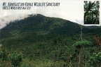 06 Mount Hamiguitan Range Wildlife Sanctuary