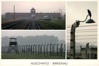 03 Auschwitz Birkenau