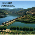 11 Alto Douro Wine Region