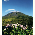 13 Landscape of the Pico Island Vineyard Culture