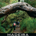 10 Laurisilva of Madeira