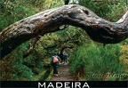 10 Laurisilva of Madeira