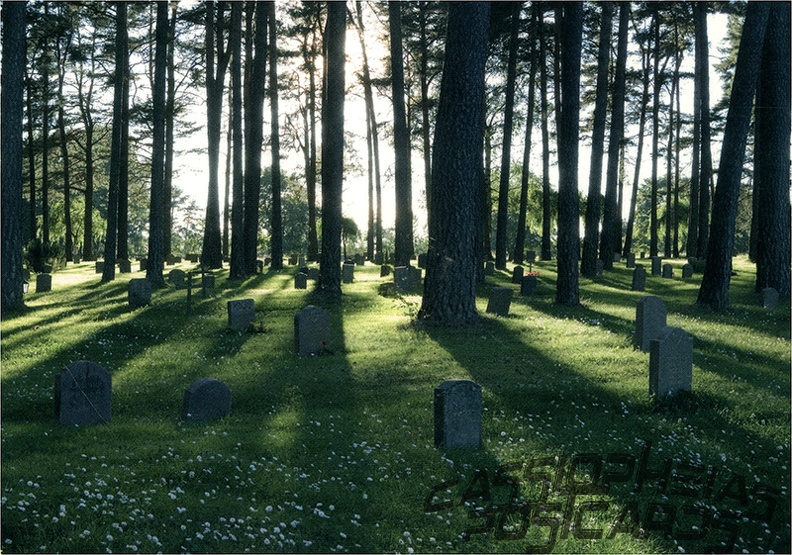 05 Skogskyrkogården