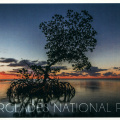 03 Everglades National Park