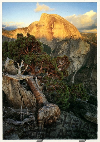 14 Yosemite National Park
