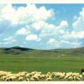 [Tentative] Hulun Buir Landscape & Birthplace of Ancient Minority