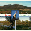 08 Tokaj Wine Region Historic Cultural Landscape