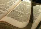Luther Bible