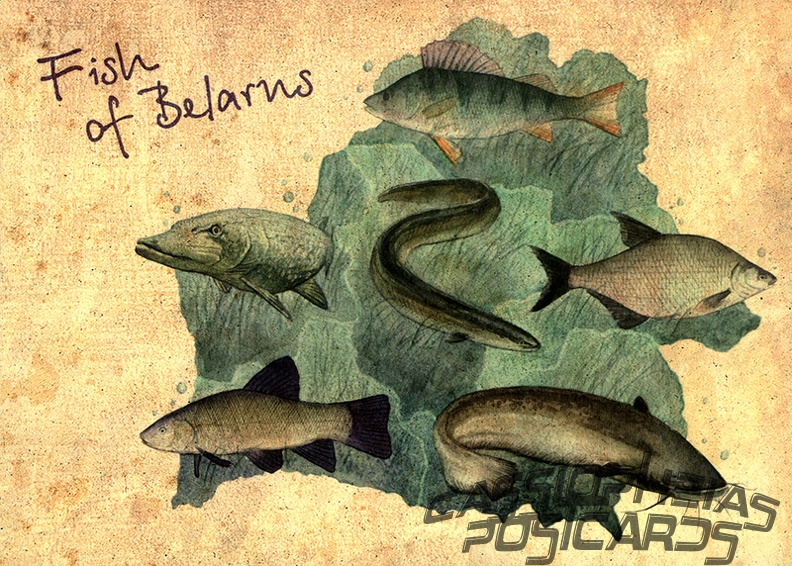 2 Map Belarus