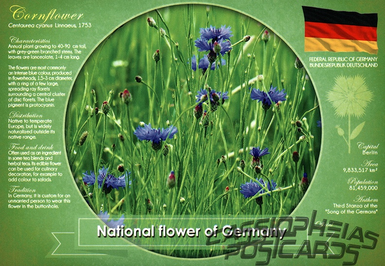 National Flower Germany
