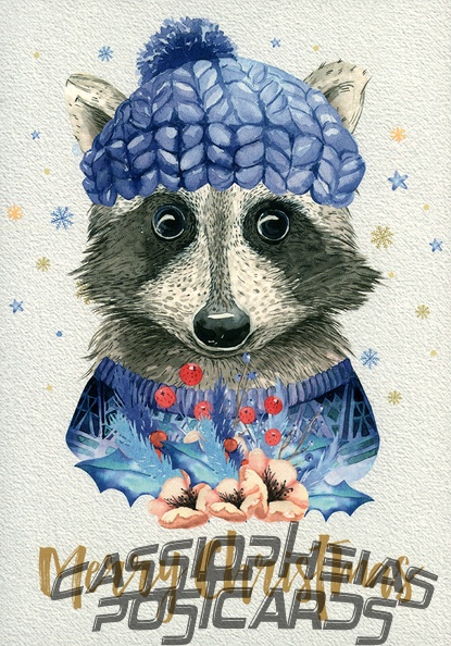 Christmas - Raccoon