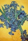van Gogh - Schwertlilien