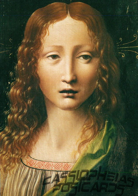 da Vinci - Kopf des Erlösers