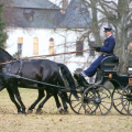 15 Landscape for Breeding and Training of Ceremonial Carriage Horses at Kladruby nad Labem