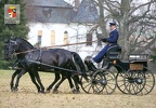 15 Landscape for Breeding and Training of Ceremonial Carriage Horses at Kladruby nad Labem