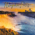 7 Niagara Falls