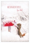 Squirrel in Snow with mail