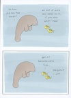 Liz Climo