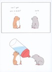 Liz Climo