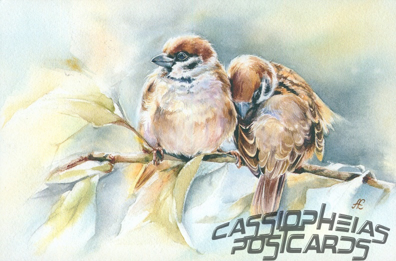 Bird (Sparrows)