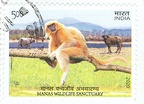 [IN] Manas Wildlife Sanctuary 2020