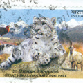 [IN] Great Himalayan NP 2020