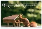 Squirrel with piano