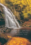 11 Great Smoky Mountains National Park