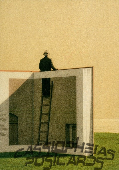 Quint Buchholz: Mann auf einer Leiter