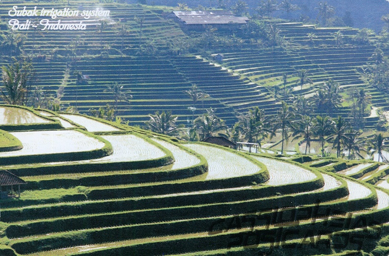 08 Cultural Landscape of Bali Province: the Subak System as a Manifestation of the Tri Hita Karana Philosophy