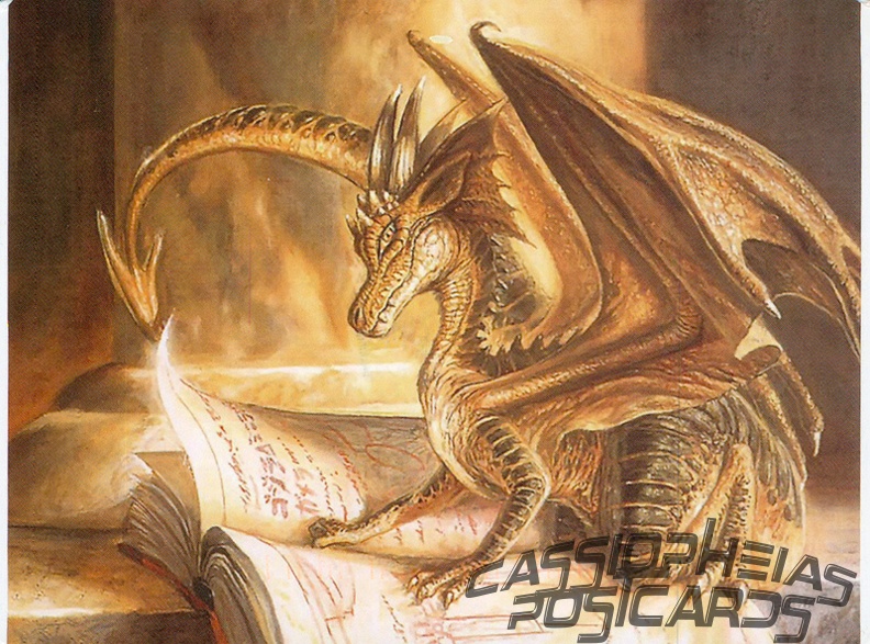Dragon reading