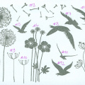 Flowers + Birds