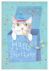 Birthday - Cat