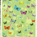 0407 - Butterflies