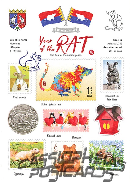 WT Year of the Rat