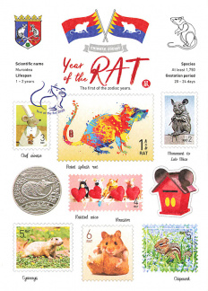 WT Year of the Rat