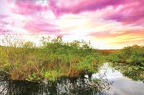 03 Everglades National Park