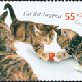 [2004] Katzen     Katzenkinder mit Wollknäuel.jpg