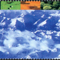 [2004] Alpine Zone