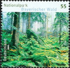 [2005] Nationalpark Bayerischer Wald