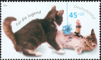 [2004] Katzenkinder mit Wollknäuel