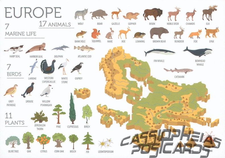 Fauna & Flora Europe