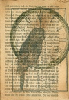 Stamping - Owl